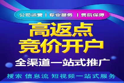网络推广策略：竞价广告的实践案例